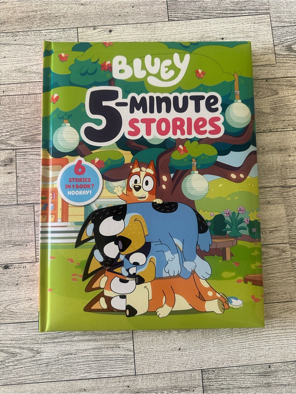 Bluey!! 5-Minute Stories book
